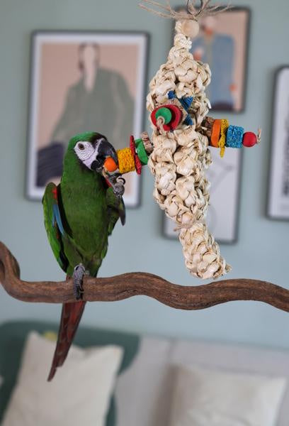 Boredom Breaker Woven Forage 'n' Fun Bird Toy