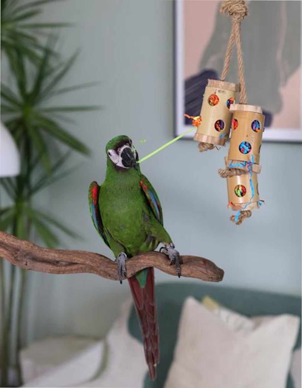 Boredom Breaker Bamboo Forage Trio Bird Toy