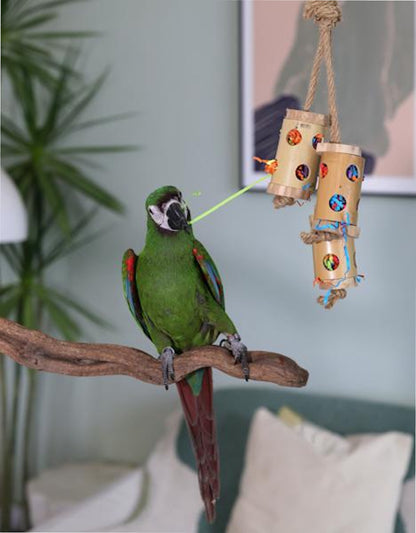 Boredom Breaker Bamboo Forage Trio Bird Toy