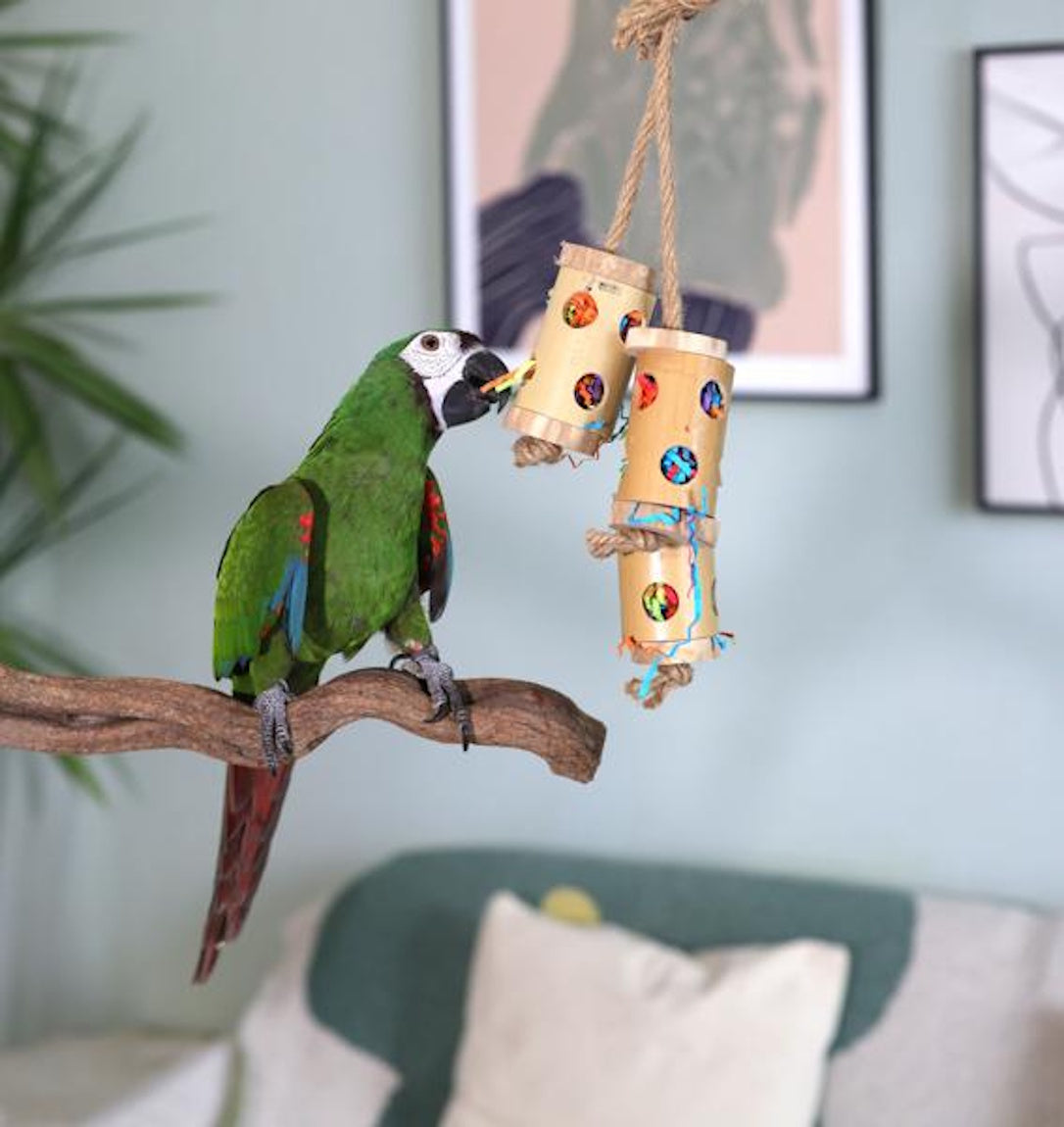 Boredom Breaker Bamboo Forage Trio Bird Toy
