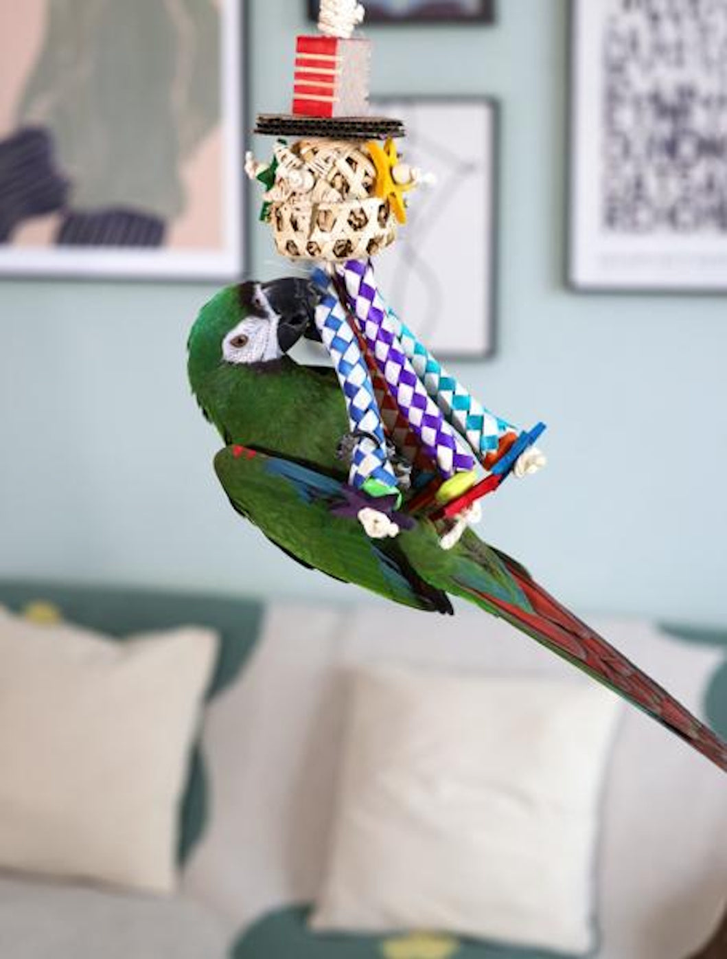 Boredom Breaker Carnival of Fun Bird toy