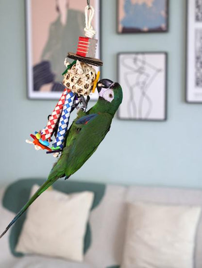 Boredom Breaker Carnival of Fun Bird toy