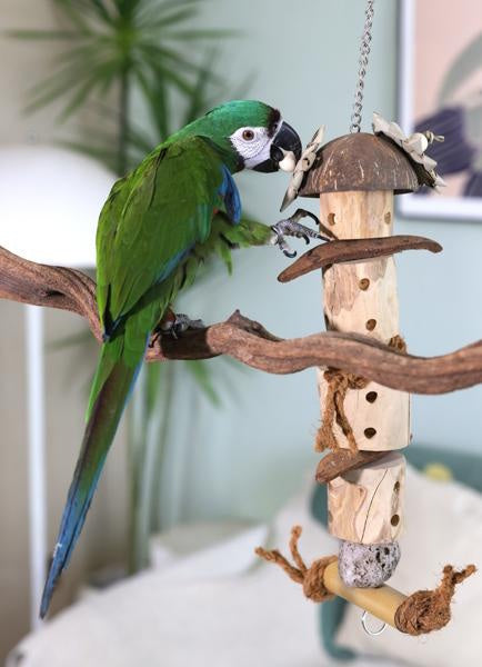 Rosewood Naturals Java Forager Bird Toy
