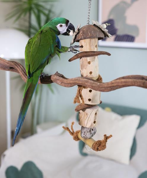 Rosewood Naturals Java Forager Bird Toy