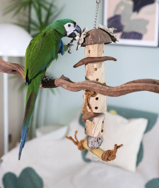 Rosewood Naturals Java Forager Bird Toy