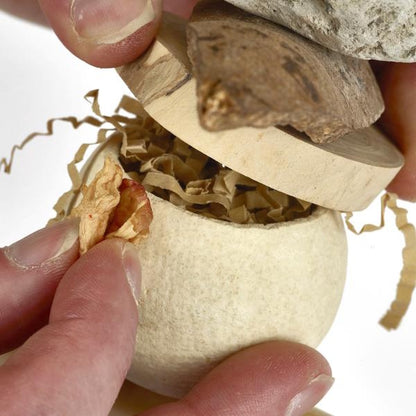 Rosewood Naturals Forage Cup Medley Bird Toy