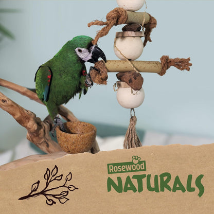Rosewood Naturals Forage Cup Medley Bird Toy