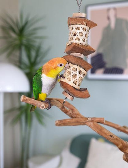 Rosewood Naturals Lantern Duo Forager Bird Toy