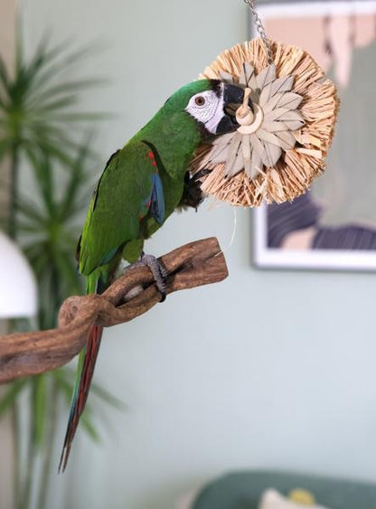 Rosewood Naturals Sunburst Preener Bird Toy