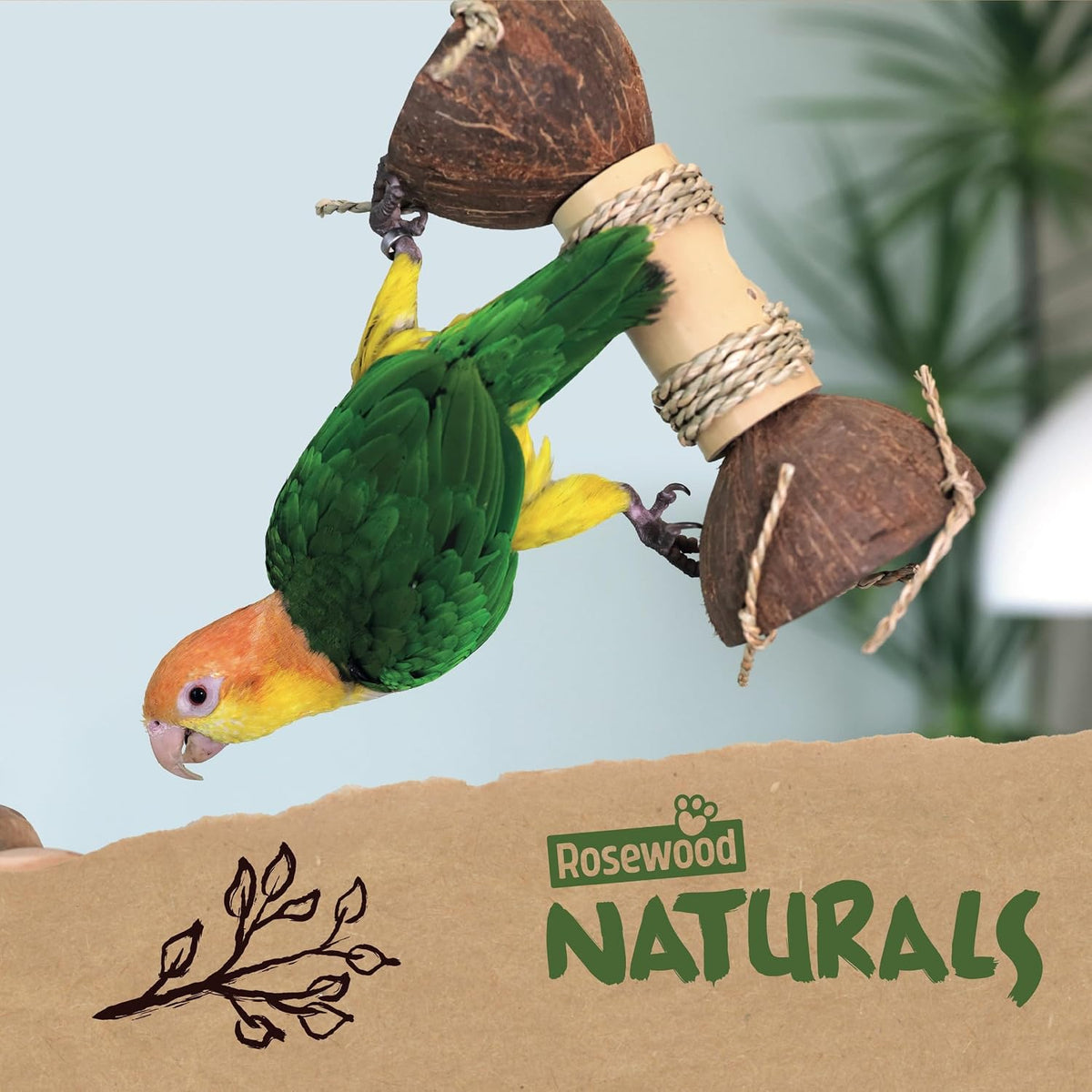 Rosewood Naturals Coco Bamboo Interactive Foraging Toy