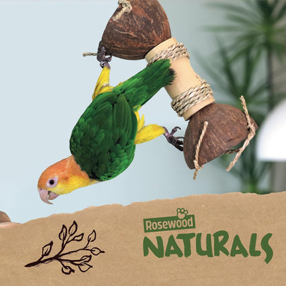 Rosewood Naturals Coco Bamboo Interactive Foraging Toy