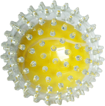Jolly Doggy Catch N Play Tennis Ball