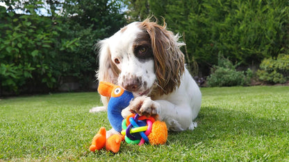 Jolly Doggy Tough Multi Textured Flamingo Small
