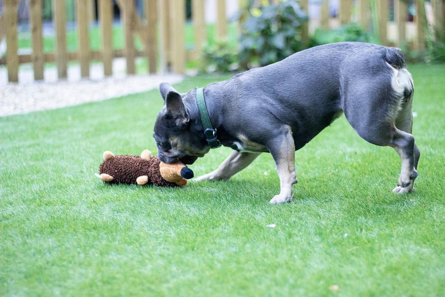 Chubleez Spike The Hedgehog Dog Toy