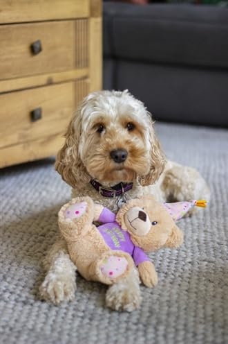 Rosewood Chubleez Bonnie Birthday Bear