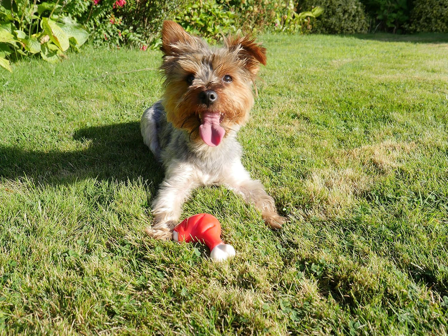 Rosewood Tough Toys Chicken Leg Small