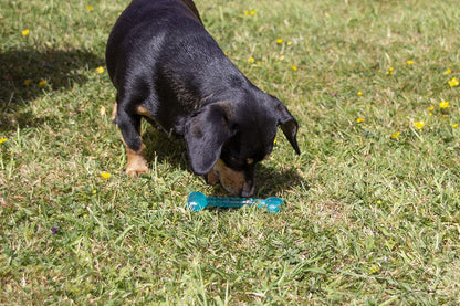 Rosewood Biosafe Puppy Bone Blue