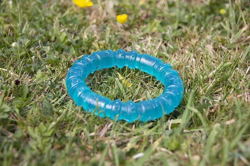 Rosewood Biosafe Puppy Ring Blue