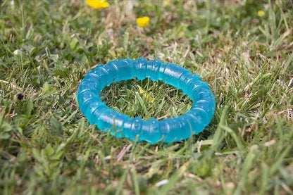 Rosewood Biosafe Puppy Ring Blue
