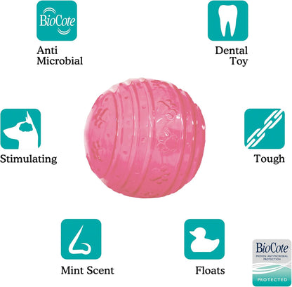 Rosewood Biosafe Puppy Ball Pink