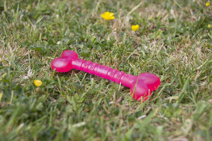 Rosewood Biosafe Puppy Bone Pink