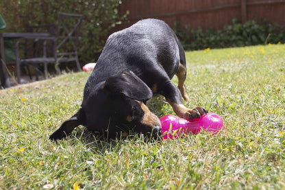 Rosewood Biosafe Puppy Dumbbell Pink