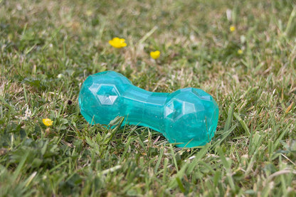 Rosewood Biosafe Puppy Dumbbell Blue