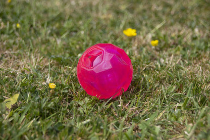 Rosewood Biosafe Puppy Treat Ball Pink
