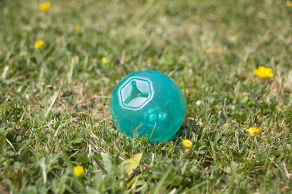 Rosewood Biosafe Puppy Treat Ball Blue