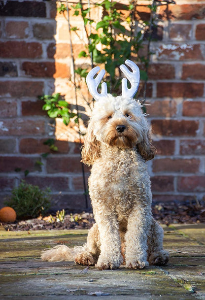 Rosewood Metalic Antlers For Dogs
