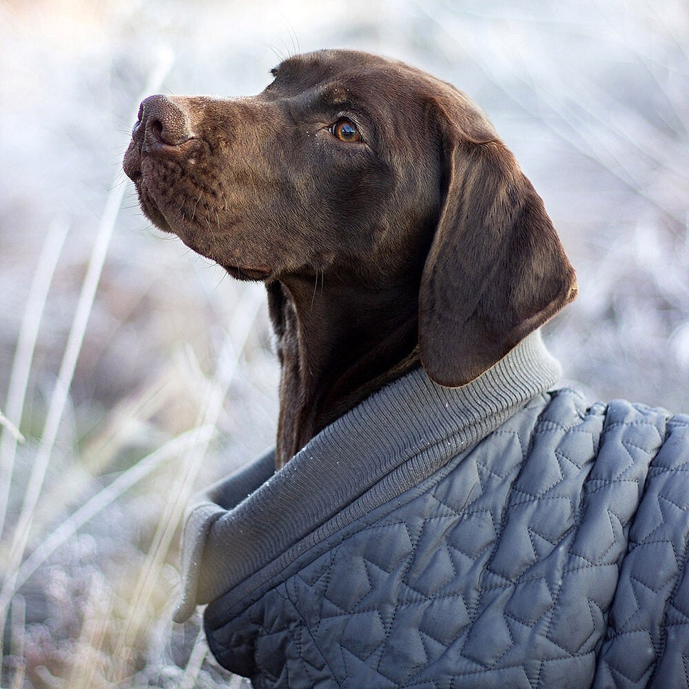 Rosewood Reversible Star Quilted Dog Gilet Large