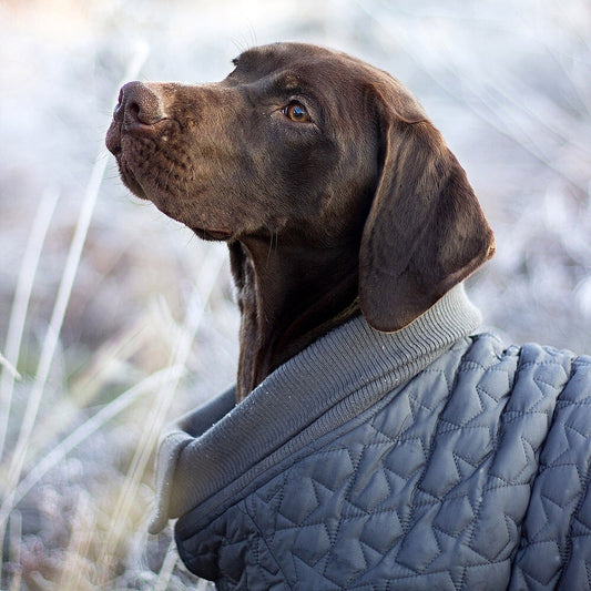 Rosewood Reversible Star Quilted Dog Gilet Large