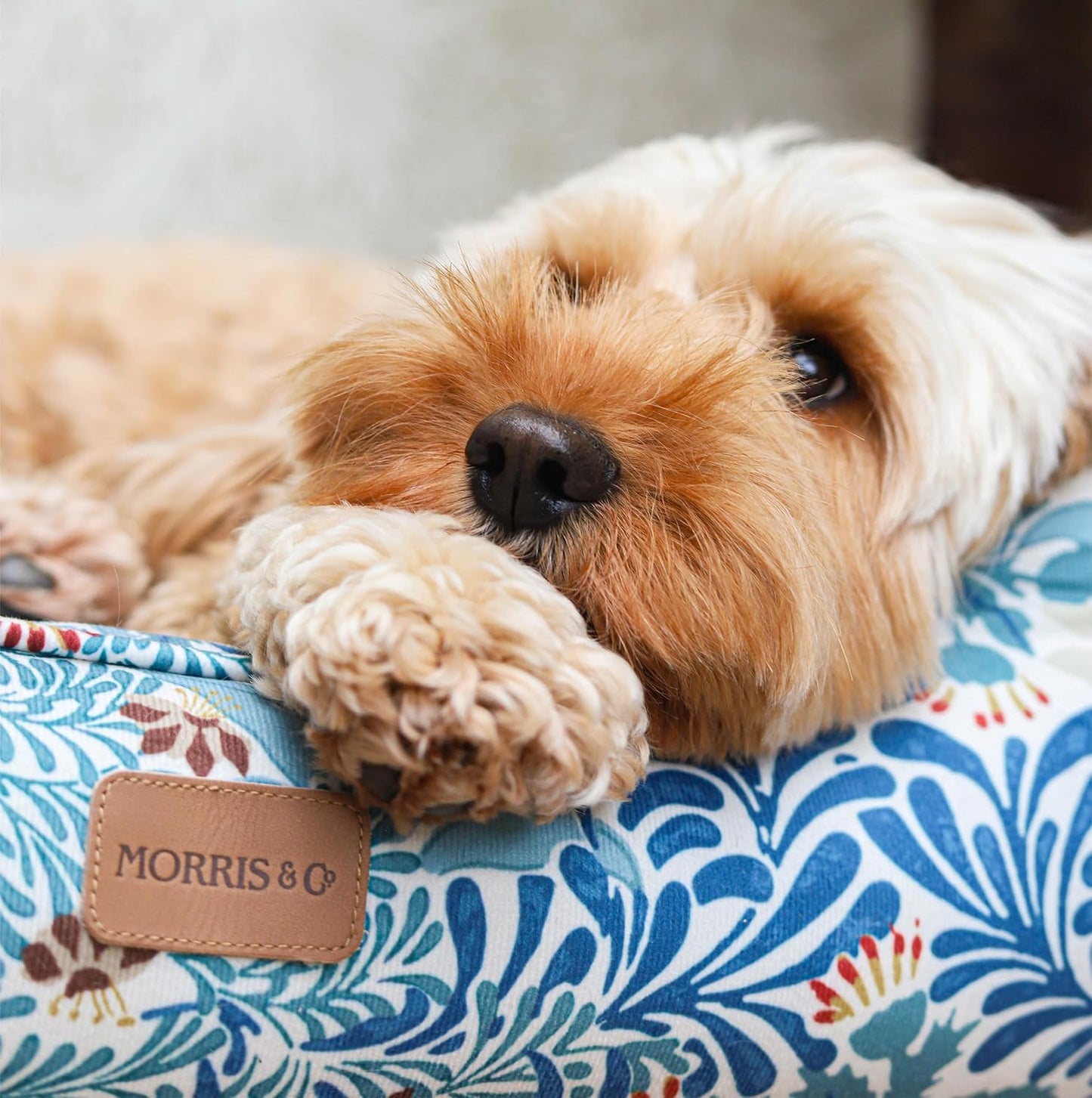 Morris & Co Bower Print Square Dog Bed Medium