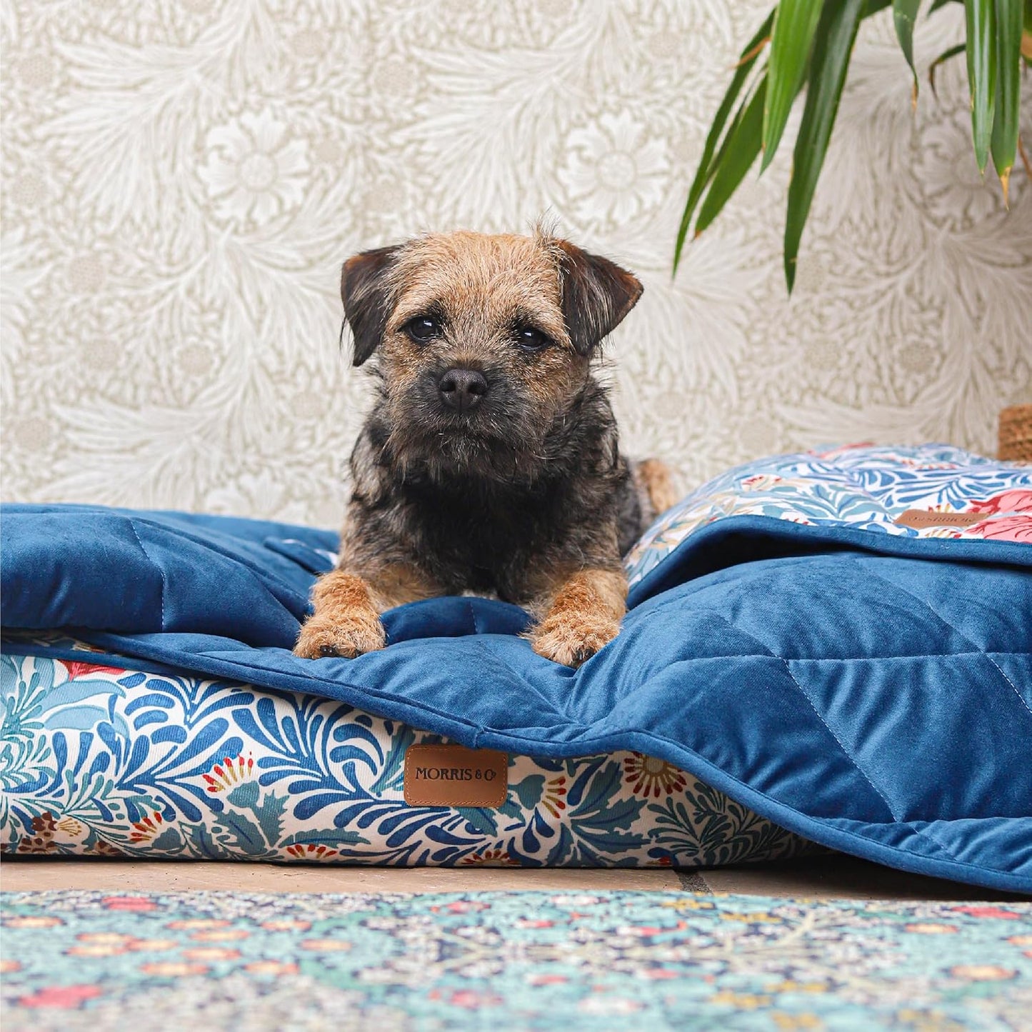 Morris & Co Bower Print Pet Luxury Throw Blanket