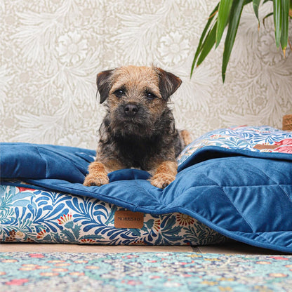 Morris & Co Bower Print Pet Luxury Throw Blanket