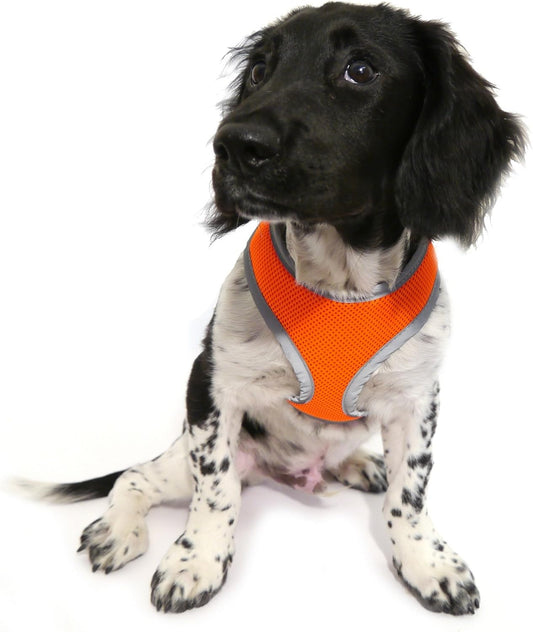 Rosewood Padded Reflective Orange Safety Harness Medium