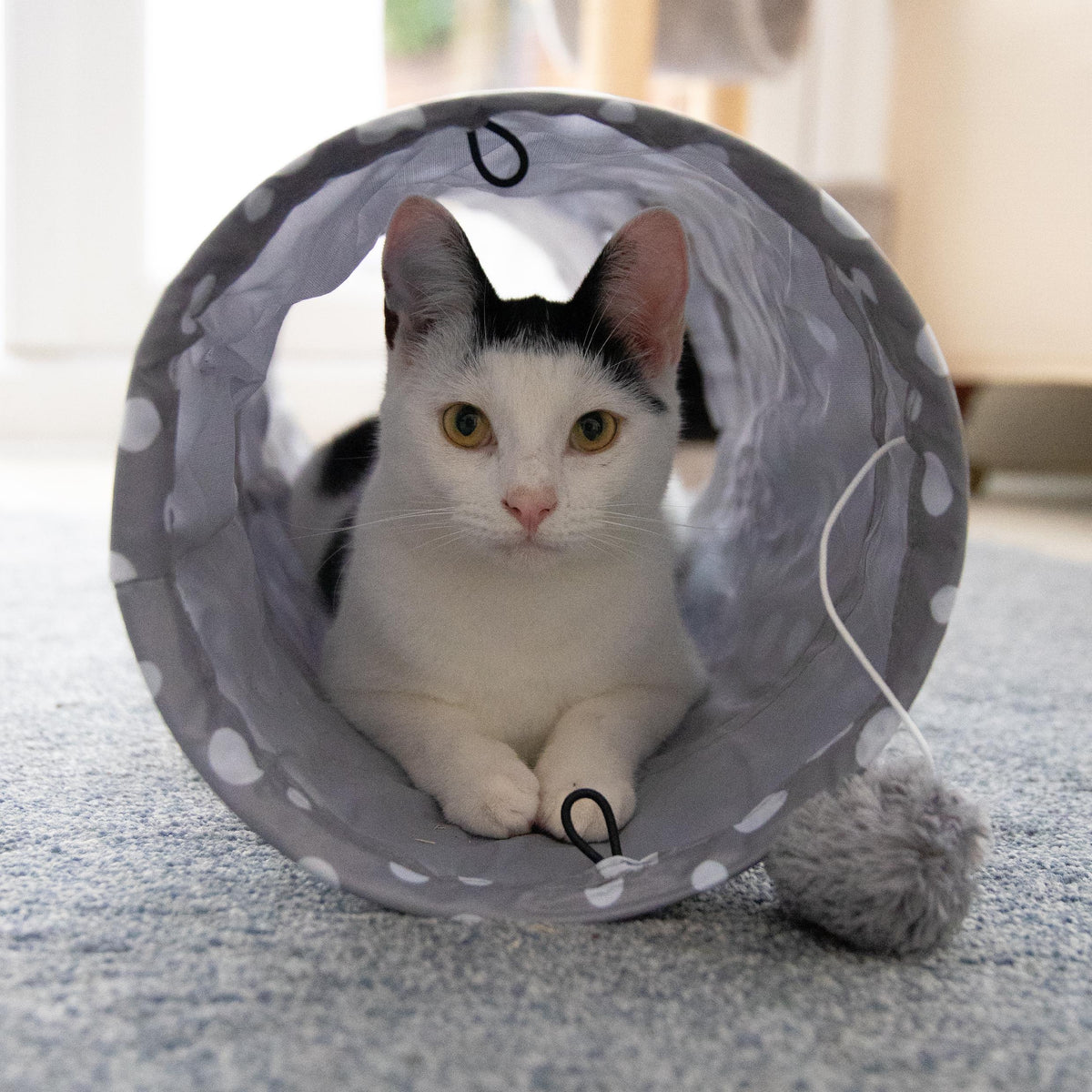 Rosewood Jolly Moggy Cat Interactive Crinkle Play Tunnel