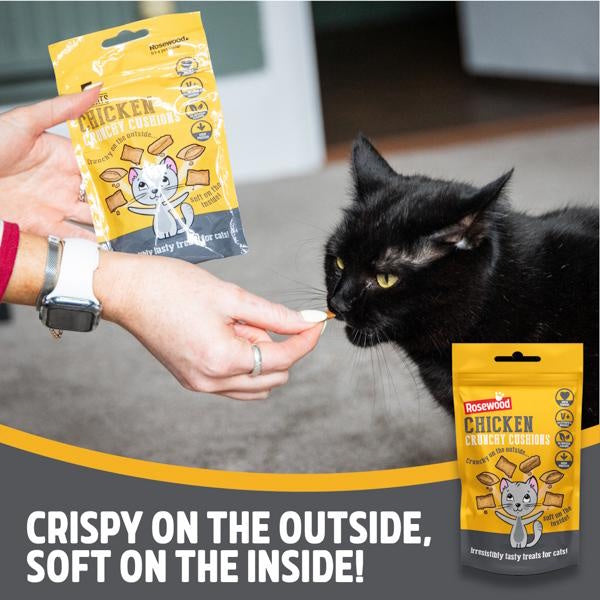 Rosewood Chicken Cushion Delicious Cat Treats 60g