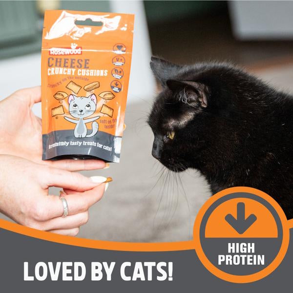 Rosewood Cheese Cushion Delicous Cat Treats 60g