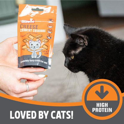 Rosewood Cheese Cushion Delicous Cat Treats 60g