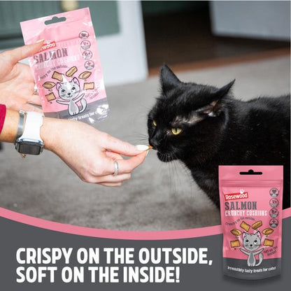 Rosewood Salmon Cushion Delicous Cat Treats 60g