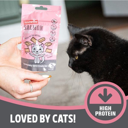 Rosewood Salmon Cushion Delicous Cat Treats 60g