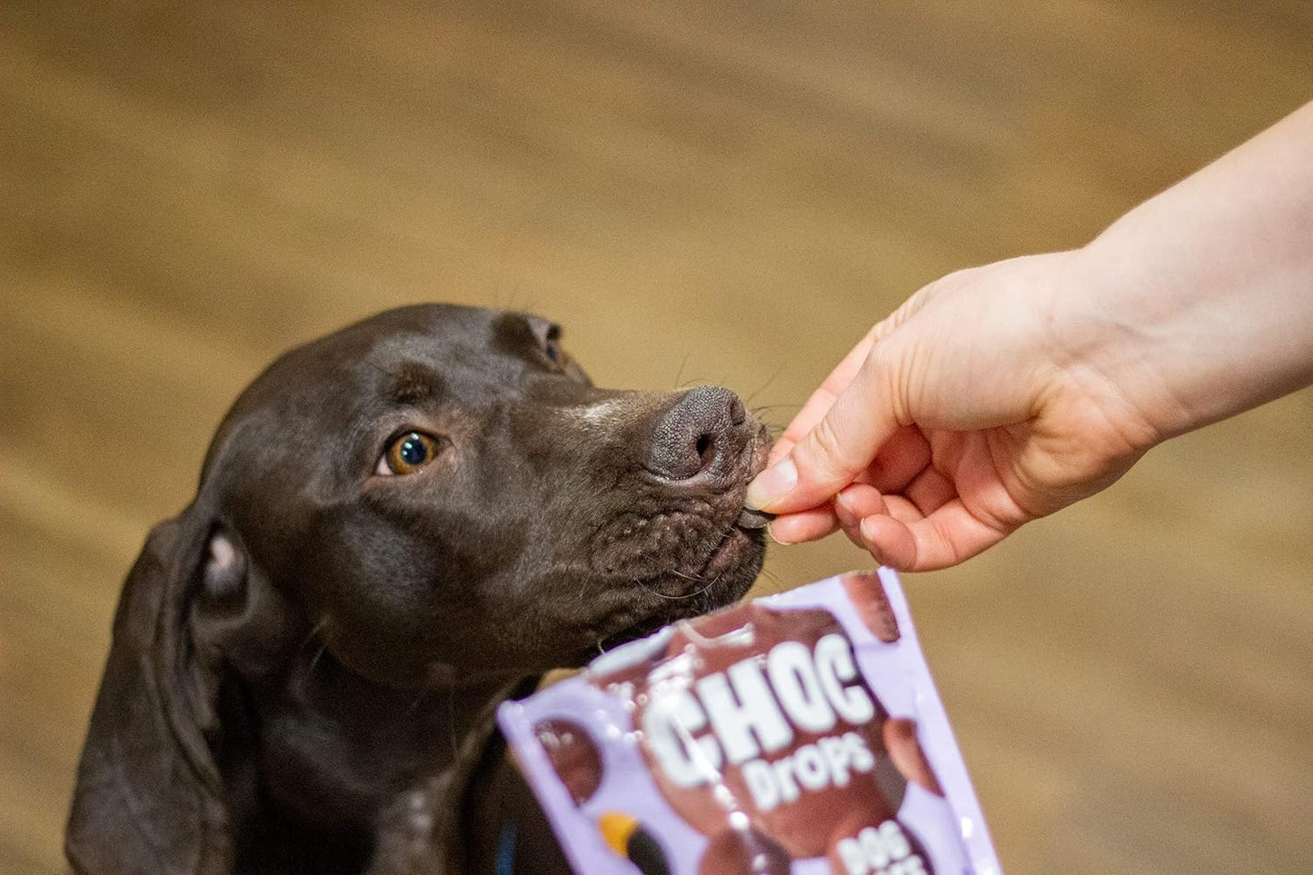 Rosewood Choc Drops For Dogs 200g