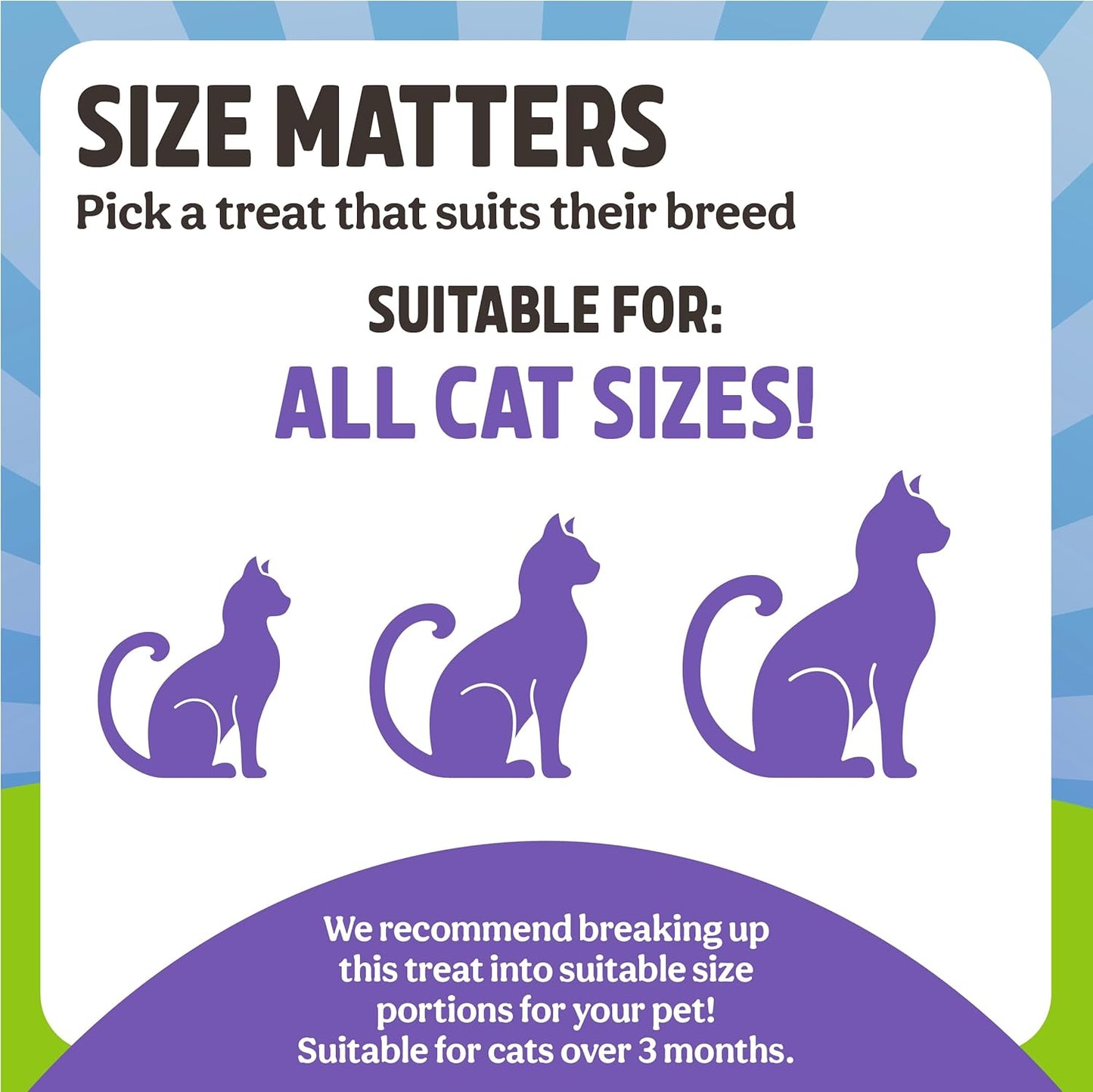 Rosewood Cat Easter Egg With Catnip 45g