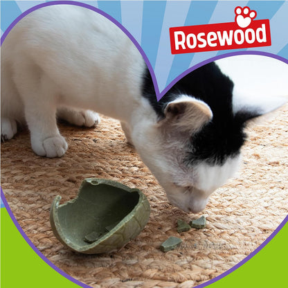 Rosewood Cat Easter Egg With Catnip 45g