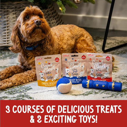 Cupid & Comet Christmas Dinner Dog Stocking
