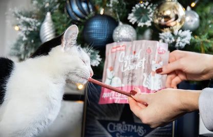 Rosewood Cupid & Comet Cat Collagen Festive Sticks 30g