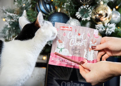 Rosewood Cupid & Comet Cat Collagen Festive Sticks 30g