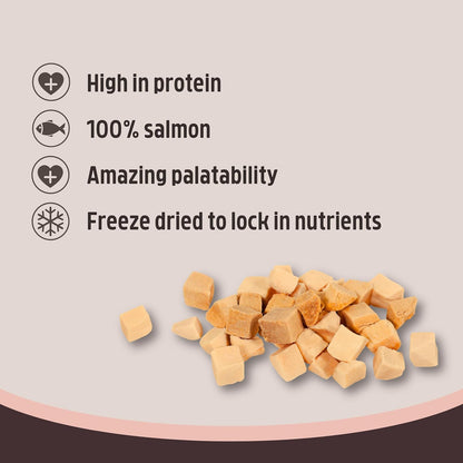 Rosewood 100% Salmon Freeze Dried Fillet Bites Cat Treats 50g