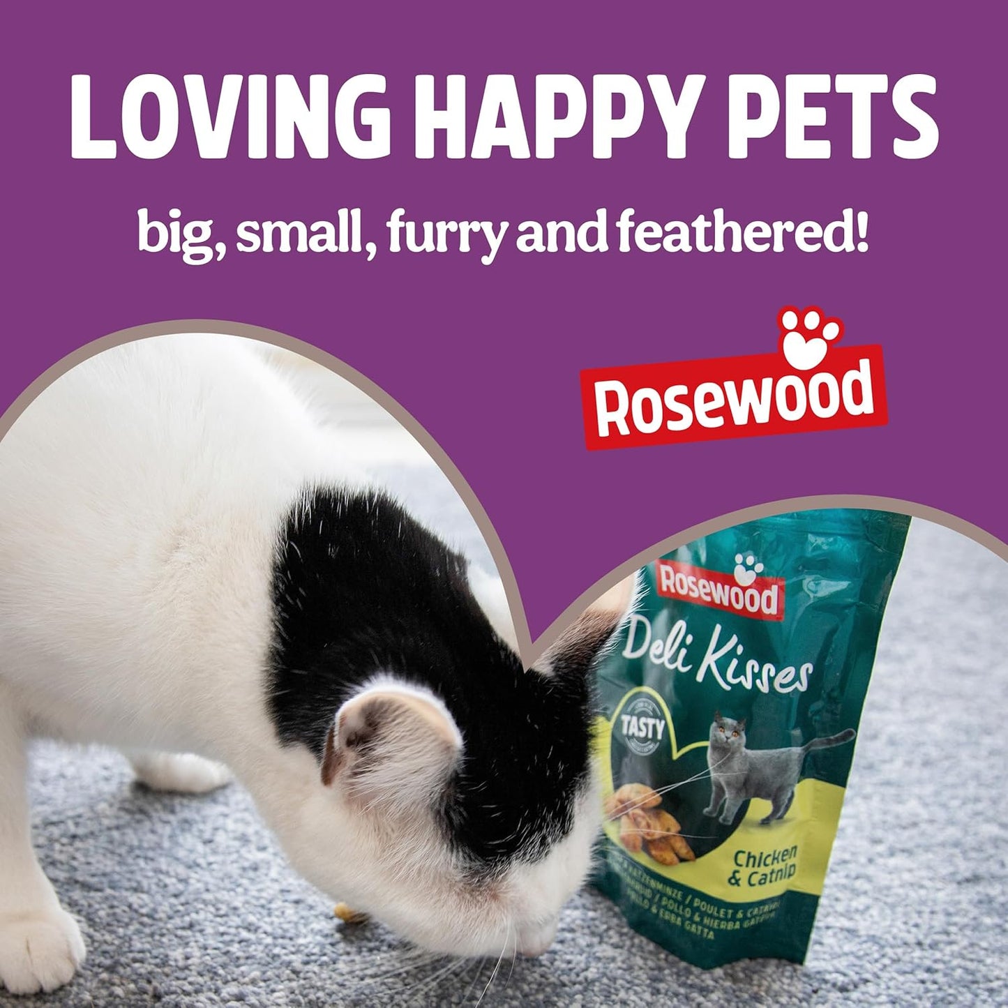 Rosewood 100% Salmon Freeze Dried Fillet Bites Cat Treats 50g